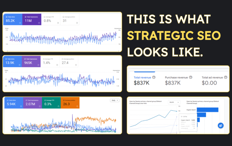 SEO Services Provider